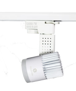 đèn rọi ray trắng công suất 30w