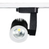 đèn rọi ray đen công suất 12w